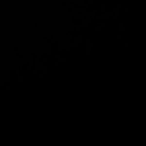 Meet your Posher, Anwar